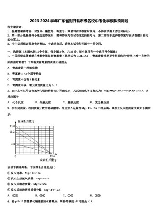 2023-2024学年广东省封开县市级名校中考化学模拟预测题含解析.doc