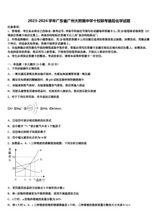 2023-2024学年广东省广州大附属中学十校联考最后化学试题含解析.doc