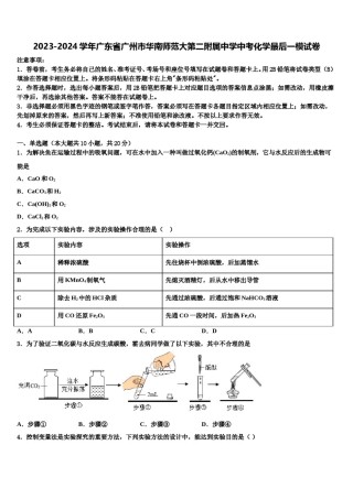 2023-2024学年广东省广州市华南师范大第二附属中学中考化学最后一模试卷含解析.doc