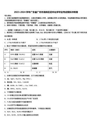 2023-2024学年广东省广州市海珠区初中化学毕业考试模拟冲刺卷含解析.doc