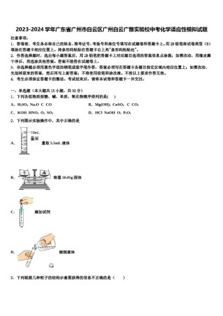 2023-2024学年广东省广州市白云区广州白云广雅实验校中考化学适应性模拟试题含解析.doc