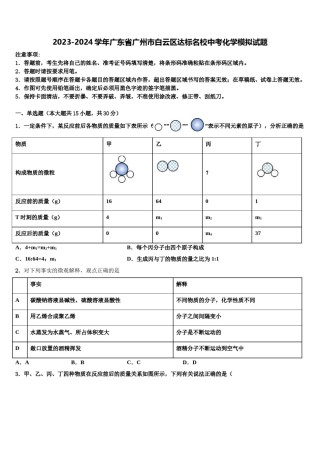 2023-2024学年广东省广州市白云区达标名校中考化学模拟试题含解析.doc