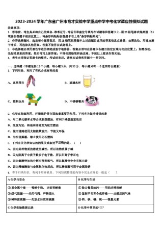 2023-2024学年广东省广州市育才实验中学重点中学中考化学适应性模拟试题含解析.doc