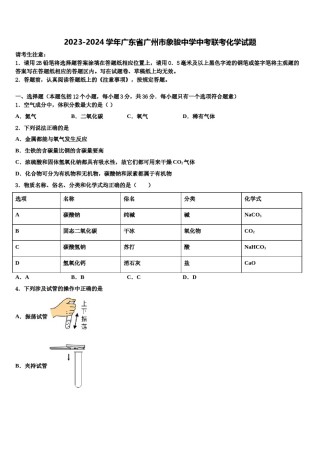 2023-2024学年广东省广州市象骏中学中考联考化学试题含解析.doc
