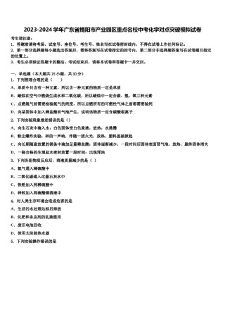 2023-2024学年广东省揭阳市产业园区重点名校中考化学对点突破模拟试卷含解析.doc