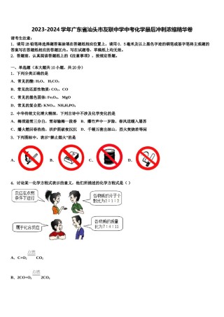 2023-2024学年广东省汕头市友联中学中考化学最后冲刺浓缩精华卷含解析.doc