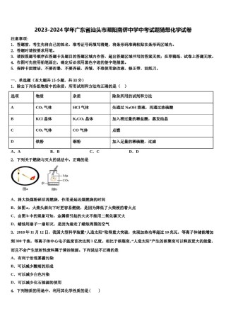 2023-2024学年广东省汕头市潮阳南侨中学中考试题猜想化学试卷含解析.doc