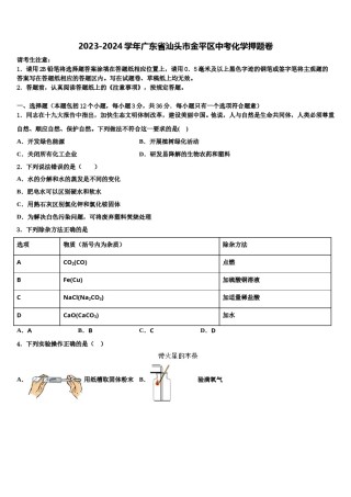 2023-2024学年广东省汕头市金平区中考化学押题卷含解析.doc