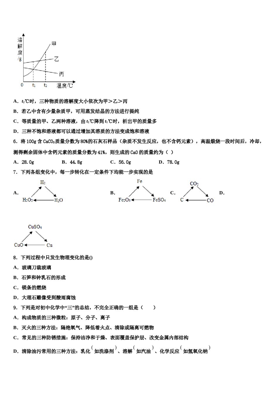 2023-2024学年广东省深圳实验校中考化学最后冲刺浓缩精华卷含解析.doc_第2页