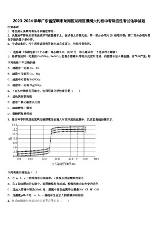 2023-2024学年广东省深圳市龙岗区龙岗区横岗六约校中考适应性考试化学试题含解析.doc