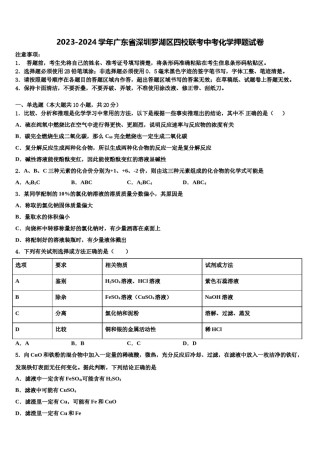 2023-2024学年广东省深圳罗湖区四校联考中考化学押题试卷含解析.doc