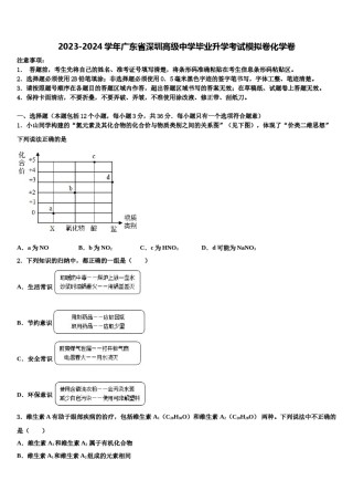 2023-2024学年广东省深圳高级中学毕业升学考试模拟卷化学卷含解析.doc
