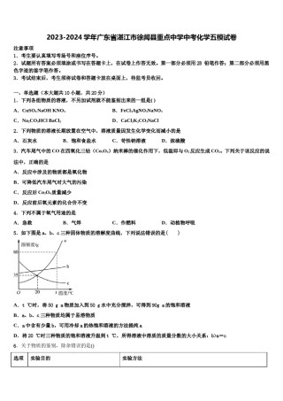 2023-2024学年广东省湛江市徐闻县重点中学中考化学五模试卷含解析.doc
