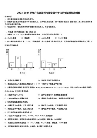 2023-2024学年广东省潮州市潮安县中考化学考试模拟冲刺卷含解析.doc