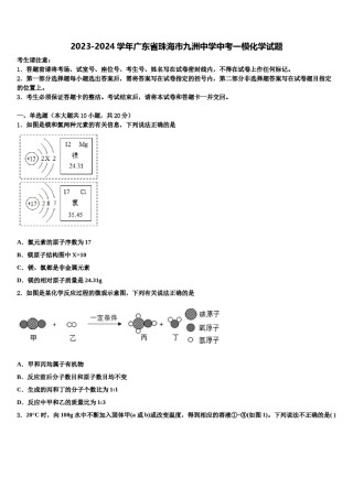 2023-2024学年广东省珠海市九洲中学中考一模化学试题含解析.doc