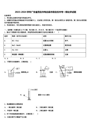 2023-2024学年广东省茂名市电白县市级名校中考一模化学试题含解析.doc