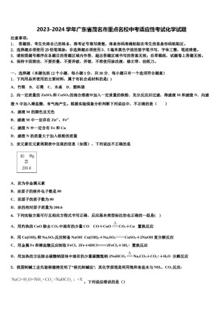 2023-2024学年广东省茂名市重点名校中考适应性考试化学试题含解析.doc