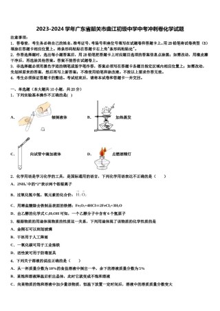 2023-2024学年广东省韶关市曲江初级中学中考冲刺卷化学试题含解析.doc