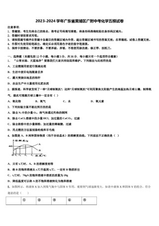 2023-2024学年广东省黄埔区广附中考化学五模试卷含解析.doc