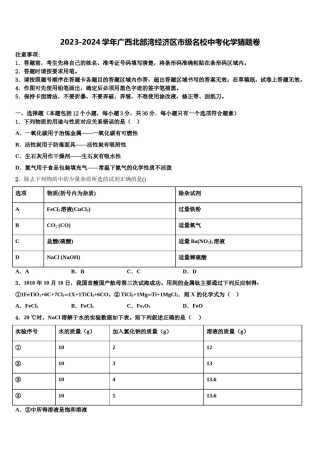 2023-2024学年广西北部湾经济区市级名校中考化学猜题卷含解析.doc