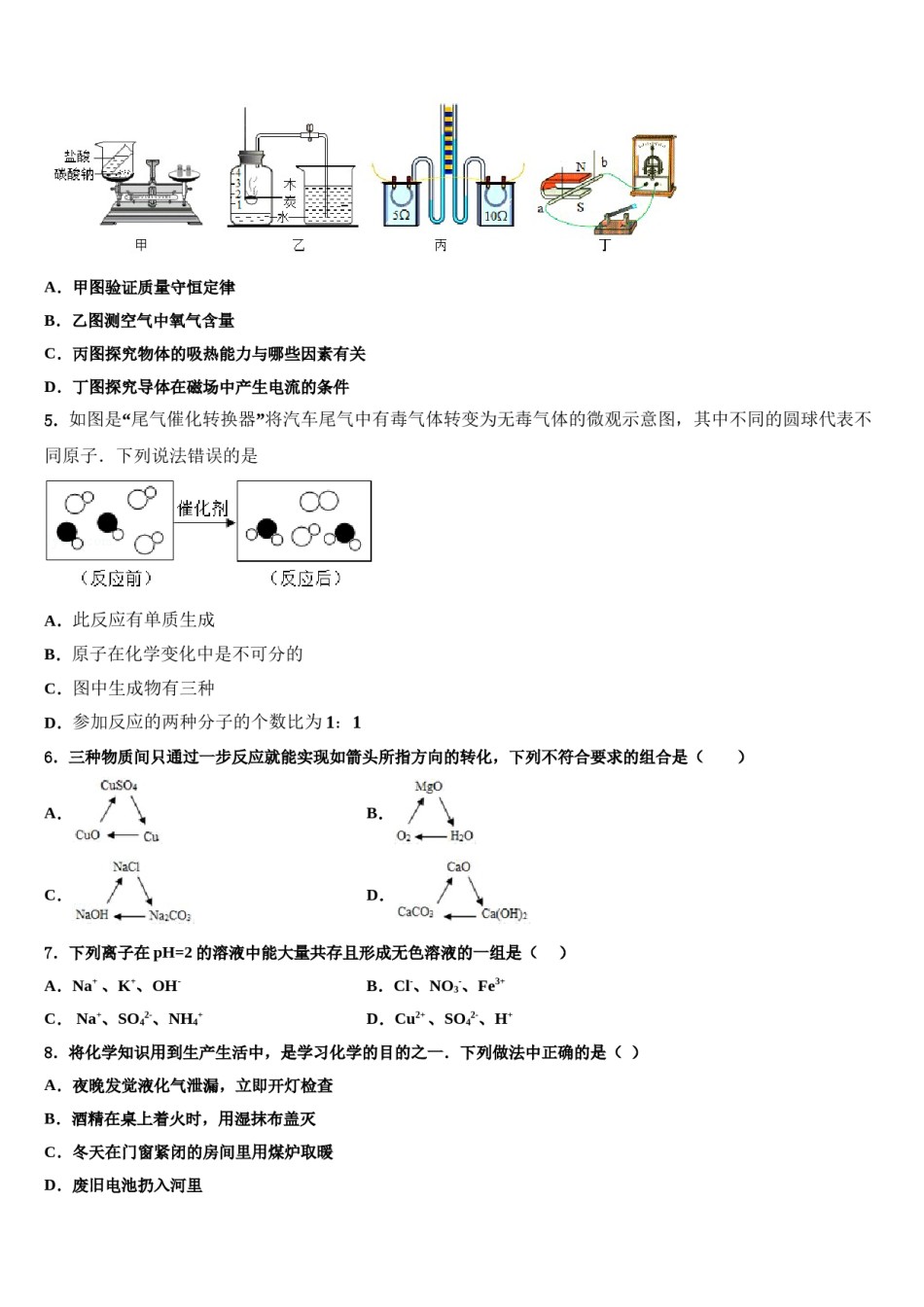2023-2024学年广西南宁中学春季学期中考化学最后冲刺浓缩精华卷含解析.doc_第2页