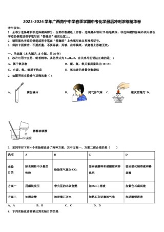 2023-2024学年广西南宁中学春季学期中考化学最后冲刺浓缩精华卷含解析.doc