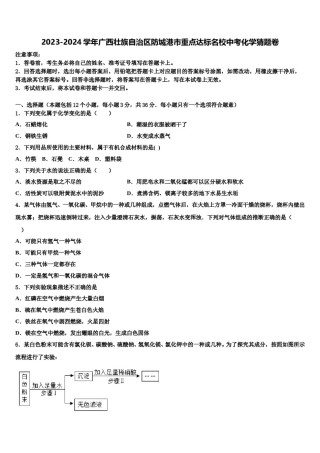 2023-2024学年广西壮族自治区防城港市重点达标名校中考化学猜题卷含解析.doc