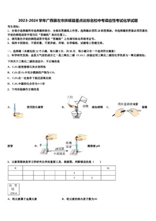 2023-2024学年广西崇左市扶绥县重点达标名校中考适应性考试化学试题含解析.doc