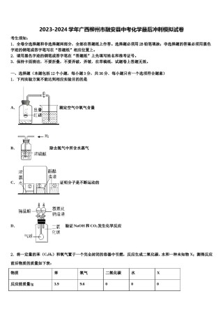 2023-2024学年广西柳州市融安县中考化学最后冲刺模拟试卷含解析.doc