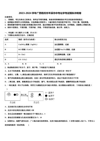 2023-2024学年广西梧州市岑溪市中考化学考试模拟冲刺卷含解析.doc
