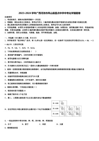 2023-2024学年广西河池市凤山县重点中学中考化学猜题卷含解析.doc