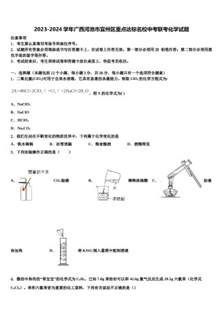 2023-2024学年广西河池市宜州区重点达标名校中考联考化学试题含解析.doc