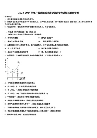2023-2024学年广西省防城港市毕业升学考试模拟卷化学卷含解析.doc