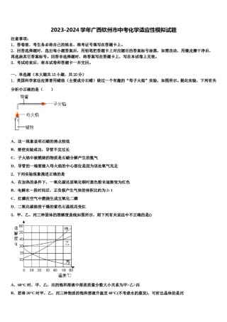 2023-2024学年广西钦州市中考化学适应性模拟试题含解析.doc