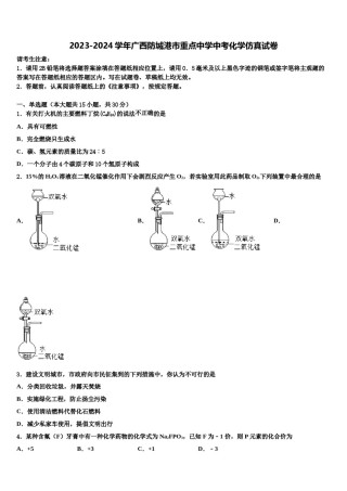 2023-2024学年广西防城港市重点中学中考化学仿真试卷含解析.doc