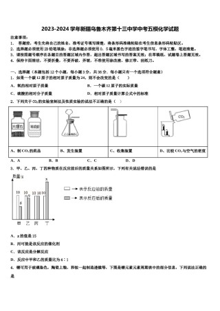 2023-2024学年新疆乌鲁木齐第十三中学中考五模化学试题含解析.doc
