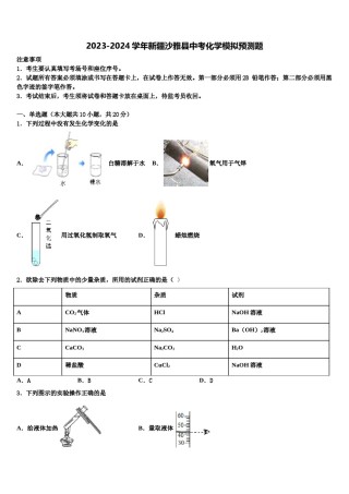 2023-2024学年新疆沙雅县中考化学模拟预测题含解析.doc