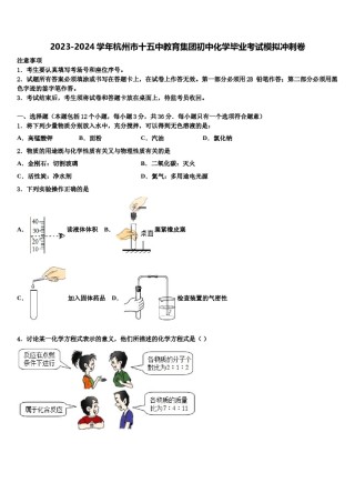 2023-2024学年杭州市十五中教育集团初中化学毕业考试模拟冲刺卷含解析.doc