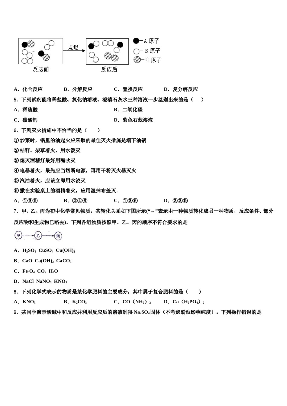 2023-2024学年杭州市滨江区江南实验校中考化学对点突破模拟试卷含解析.doc_第2页