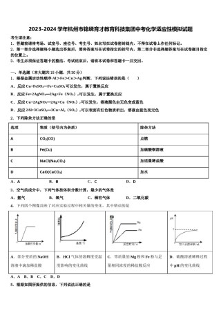 2023-2024学年杭州市锦绣育才教育科技集团中考化学适应性模拟试题含解析.doc