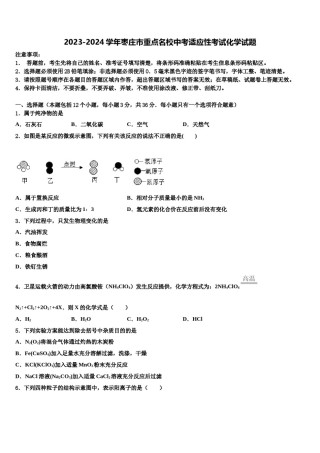 2023-2024学年枣庄市重点名校中考适应性考试化学试题含解析.doc