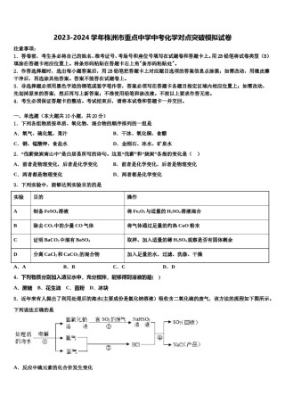2023-2024学年株洲市重点中学中考化学对点突破模拟试卷含解析.doc