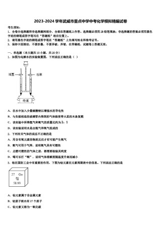 2023-2024学年武威市重点中学中考化学模拟精编试卷含解析.doc