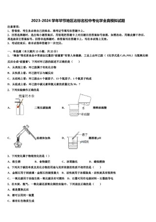 2023-2024学年毕节地区达标名校中考化学全真模拟试题含解析.doc