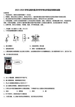 2023-2024学年汕尾市重点中学中考化学适应性模拟试题含解析.doc