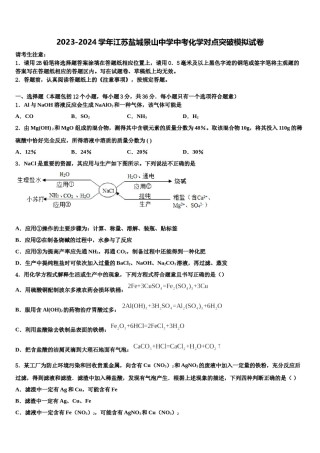 2023-2024学年江苏盐城景山中学中考化学对点突破模拟试卷含解析.doc