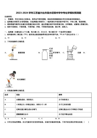 2023-2024学年江苏省兴化市楚水初级中学中考化学模拟预测题含解析.doc
