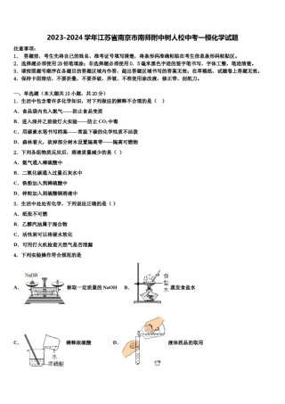 2023-2024学年江苏省南京市南师附中树人校中考一模化学试题含解析.doc