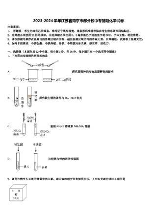 2023-2024学年江苏省南京市部分校中考猜题化学试卷含解析.doc