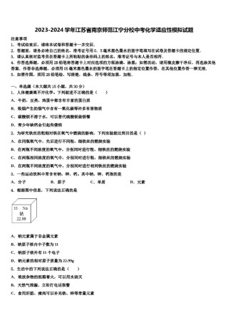 2023-2024学年江苏省南京师范江宁分校中考化学适应性模拟试题含解析.doc